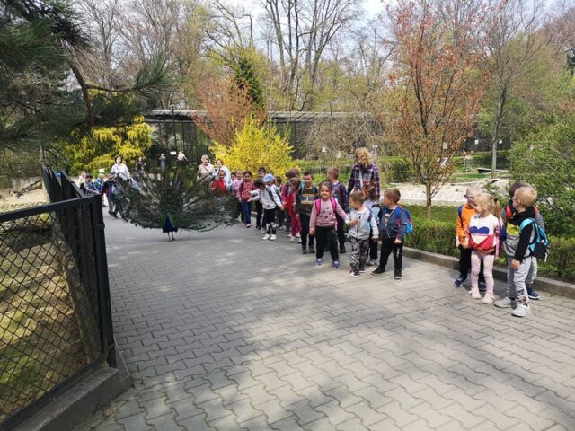 Dzieci w zoo